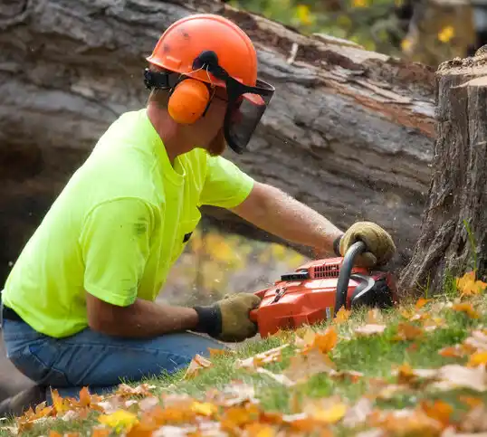 tree services Wadena